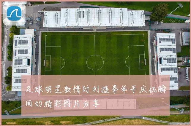 足球明星激情时刻握拳举手庆祝瞬间的精彩图片分享