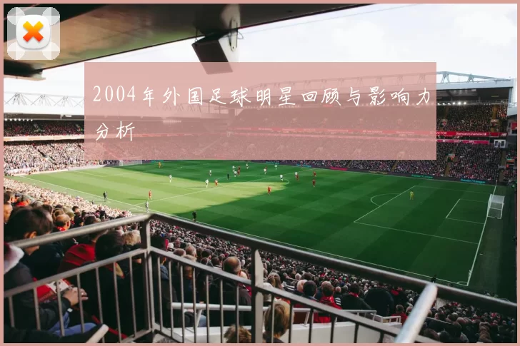 2004年外国足球明星回顾与影响力分析