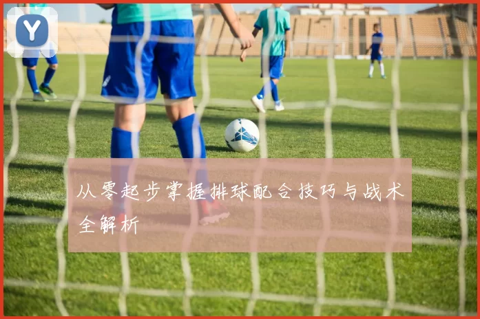 从零起步掌握排球配合技巧与战术全解析