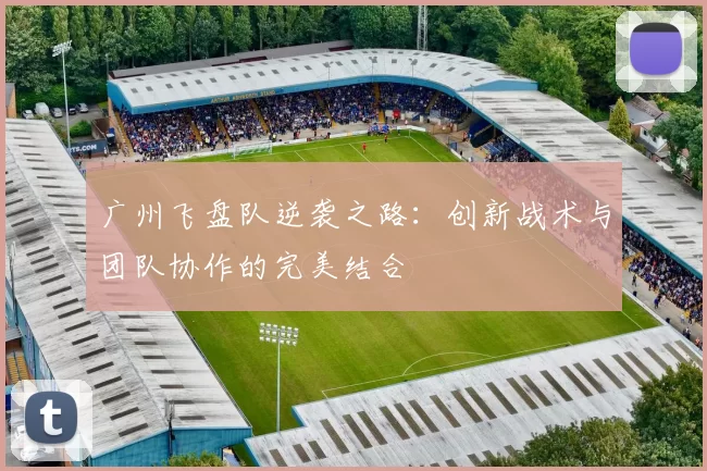 广州飞盘队逆袭之路：创新战术与团队协作的完美结合