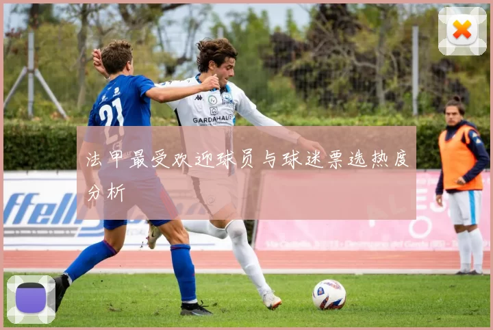 法甲最受欢迎球员与球迷票选热度分析