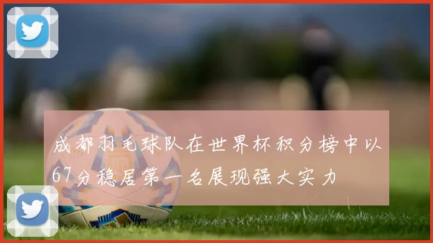 成都羽毛球队在世界杯积分榜中以67分稳居第一名展现强大实力