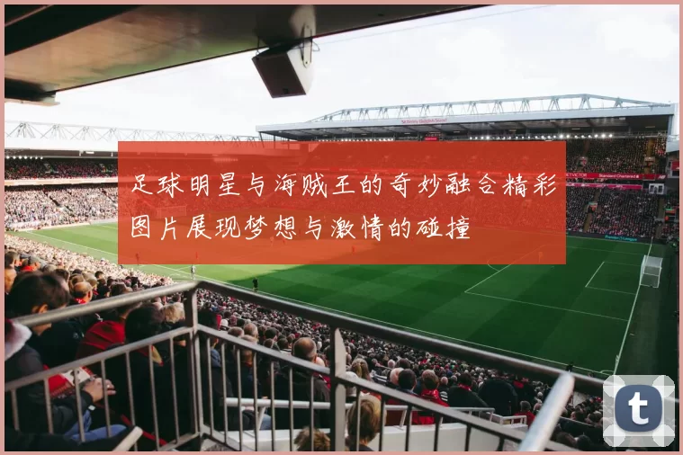 足球明星与海贼王的奇妙融合精彩图片展现梦想与激情的碰撞
