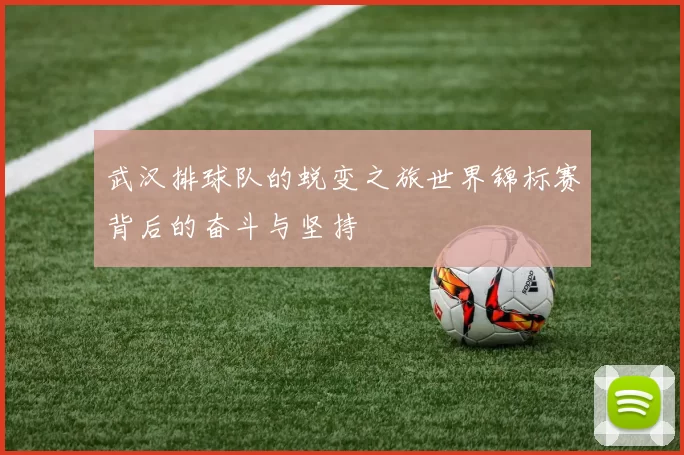 武汉排球队的蜕变之旅世界锦标赛背后的奋斗与坚持