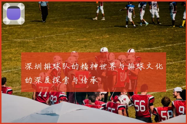 深圳排球队的精神世界与排球文化的深度探索与传承