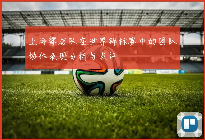 上海攀岩队在世界锦标赛中的团队协作表现分析与点评