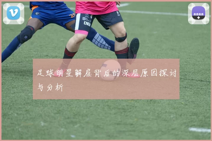 足球明星解雇背后的深层原因探讨与分析