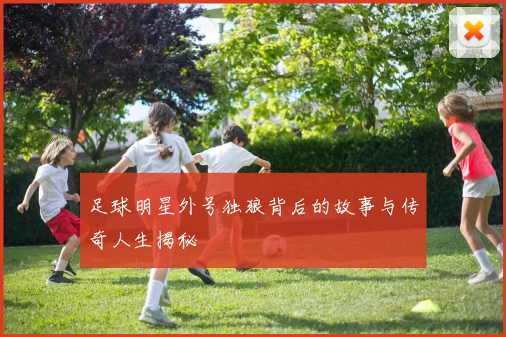 足球明星外号独狼背后的故事与传奇人生揭秘