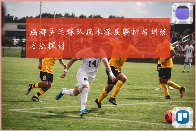 成都乒乓球队技术深度解析与训练方法探讨