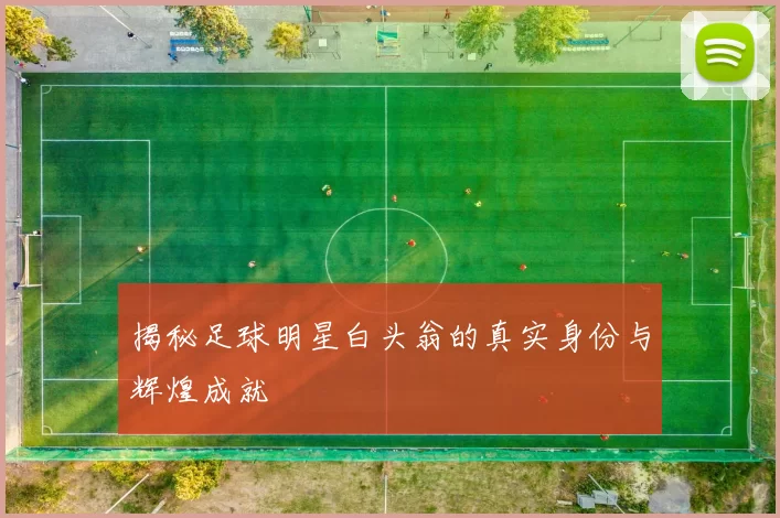 揭秘足球明星白头翁的真实身份与辉煌成就