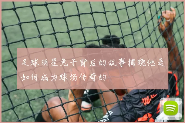 足球明星兔子背后的故事揭晓他是如何成为球场传奇的